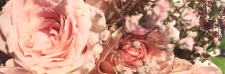 lamysheila's profile banner image