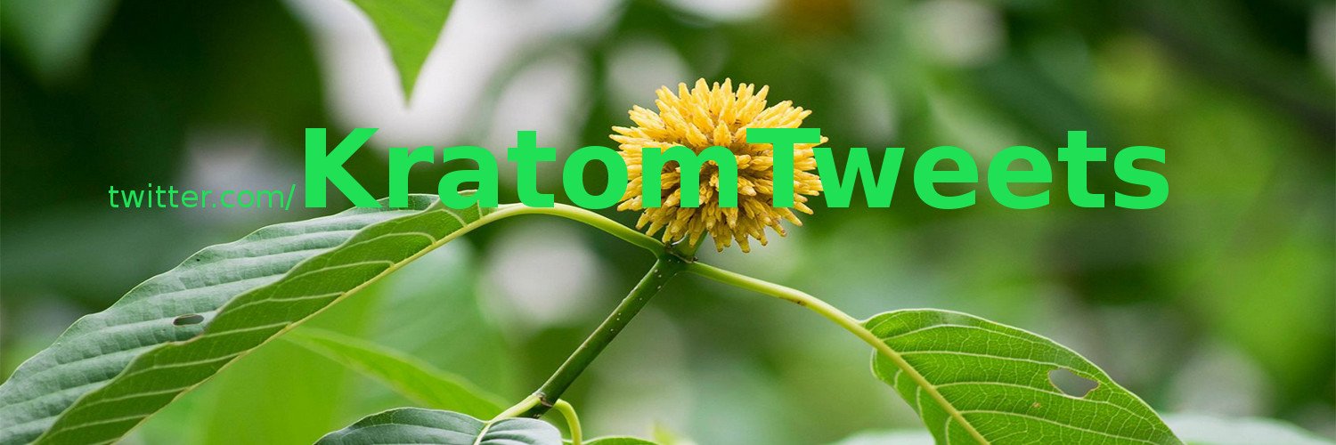 kratomtweets's profile banner image