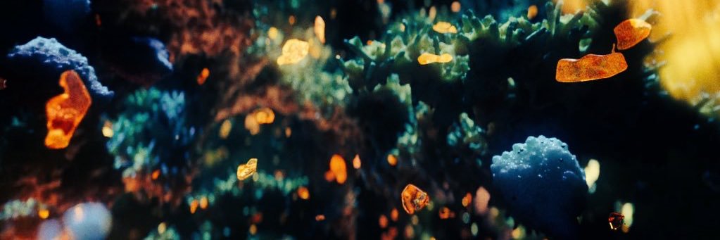 E__FLY's profile banner image