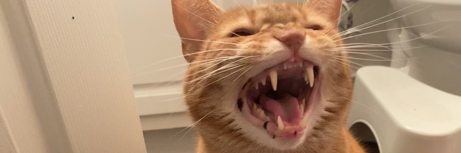 madisonboynton's profile banner image
