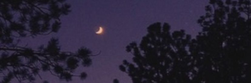 wizard_felton's profile banner image