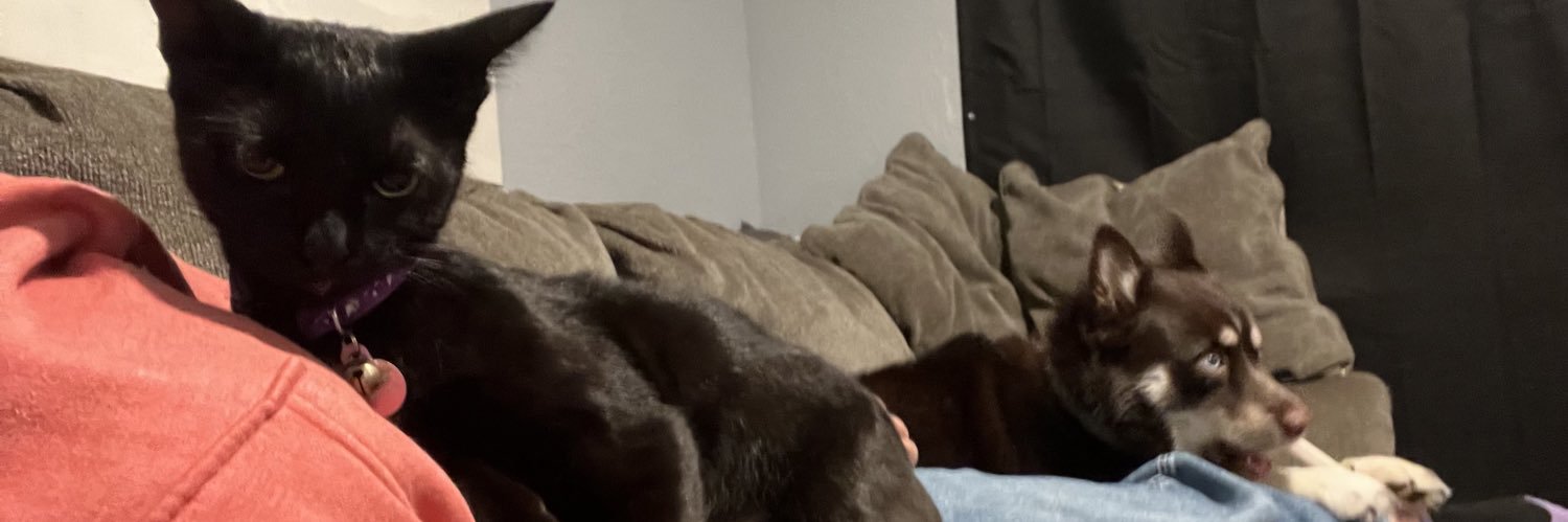KarenLogic's profile banner image