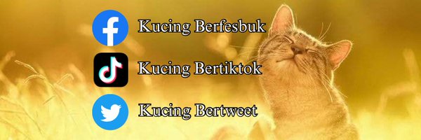 KucingBertweet Profile Banner