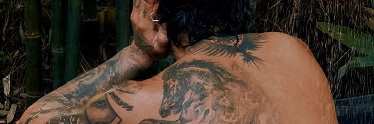 sentifl's profile banner image