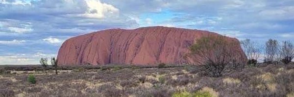 kerrielevinson Profile Banner