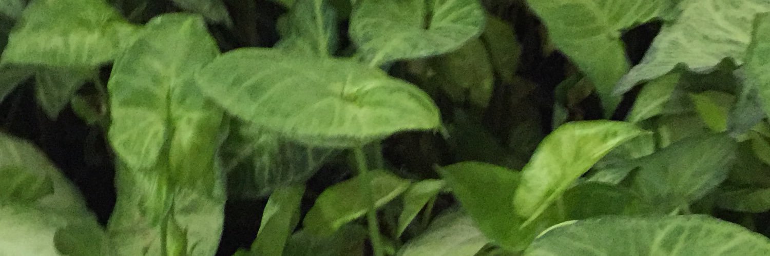 rty3335's profile banner image