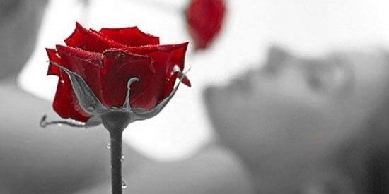 AdryVes's profile banner image