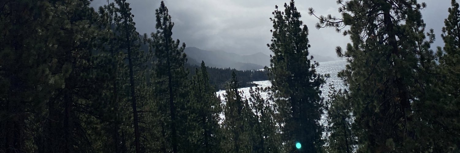 willydway's profile banner image