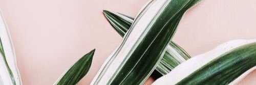 _Jeninaaa's profile banner image