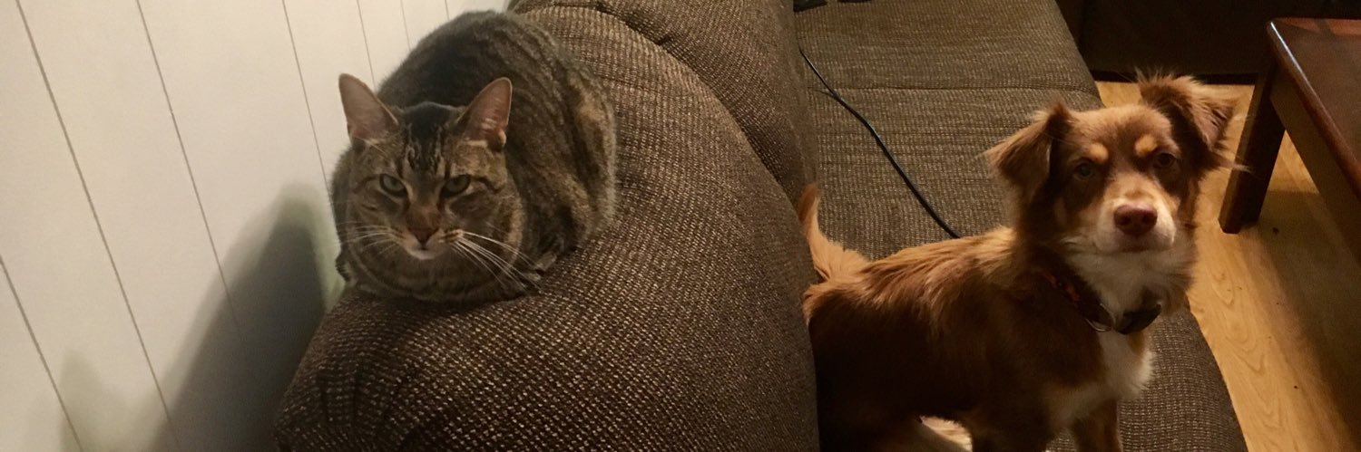 Spatty4's profile banner image