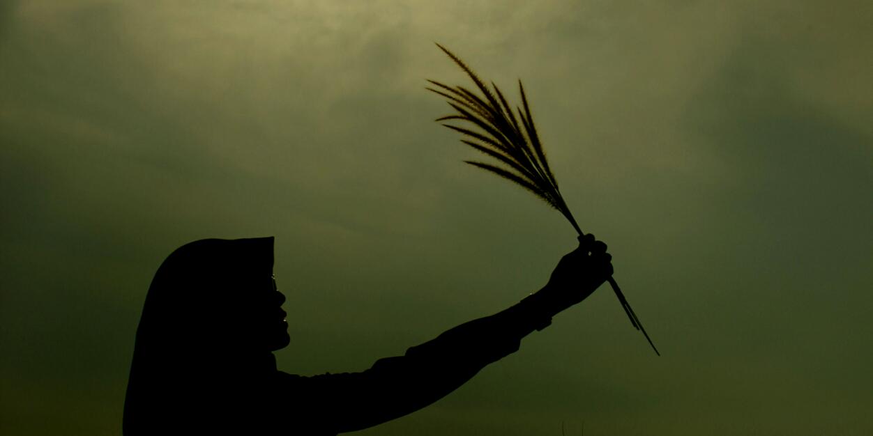Imhaimhod's profile banner image