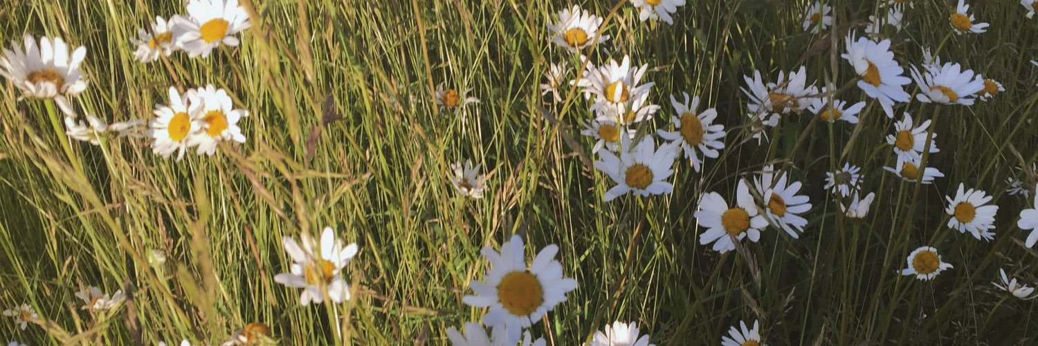yatimisma's profile banner image