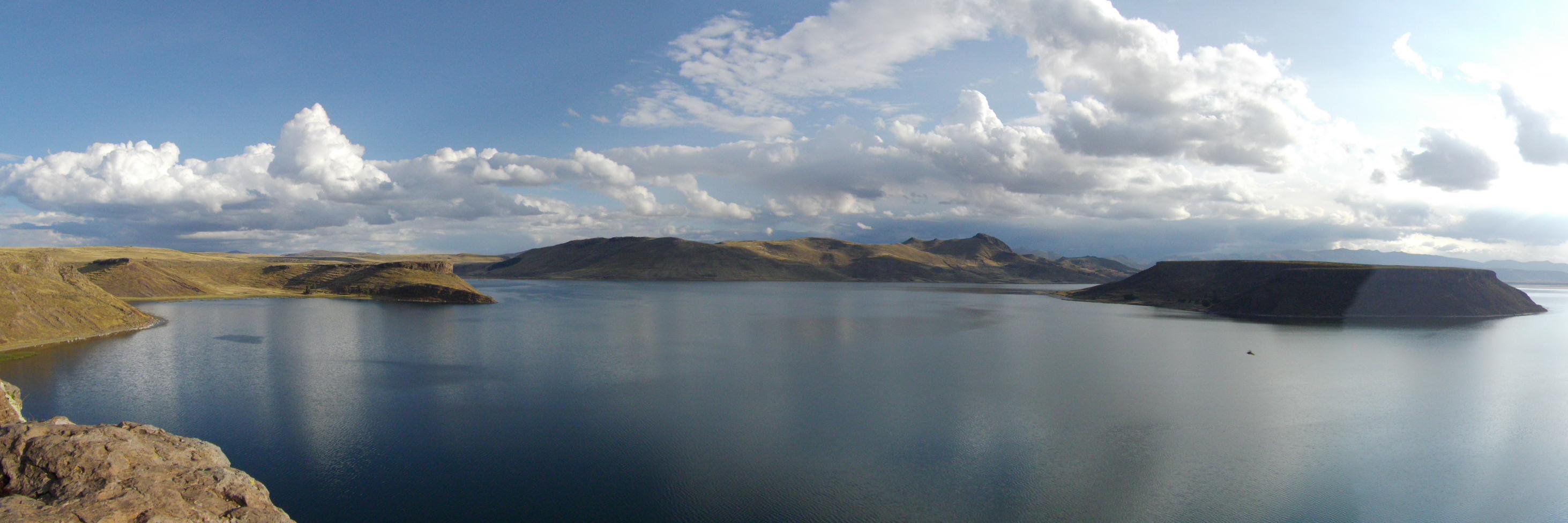 Taita Waikiki 🗨️ banner