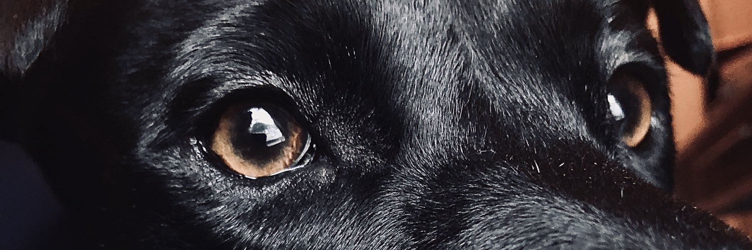 L_monk9's profile banner image