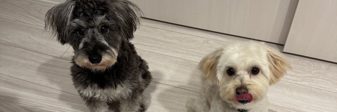 Nicolas ニコラス banner