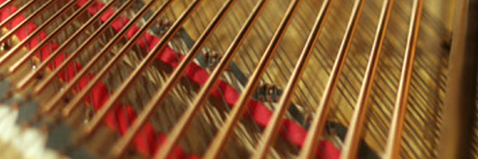 Cdridley's profile banner image
