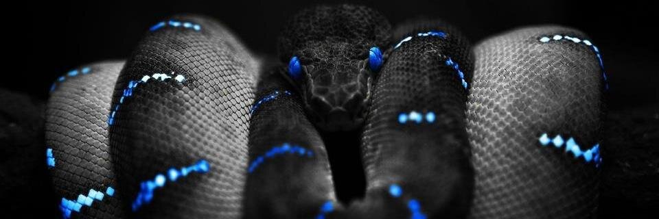 aras_arsyad's profile banner image