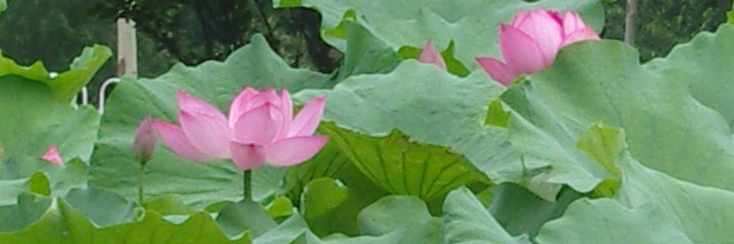 t_3t's profile banner image