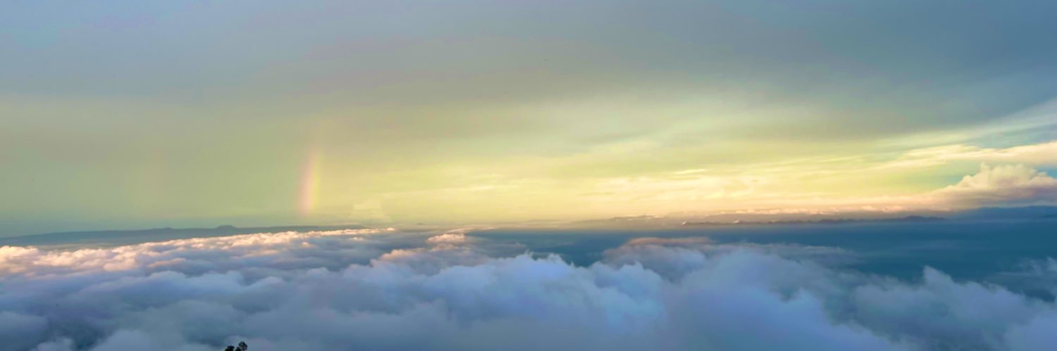 Nene_ttt's profile banner image