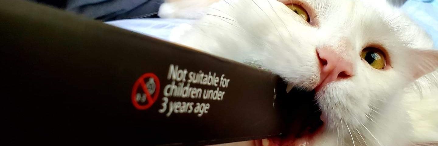 Sarcasm Police banner