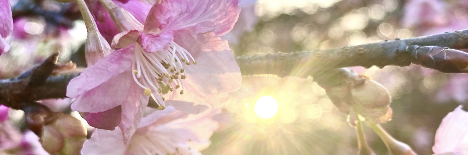 HAL_Horii's profile banner image
