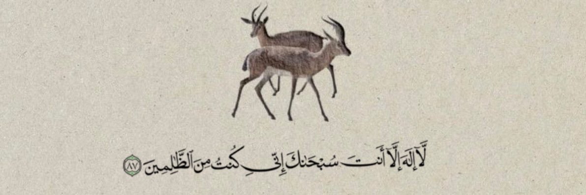 ro7_DMM's profile banner image