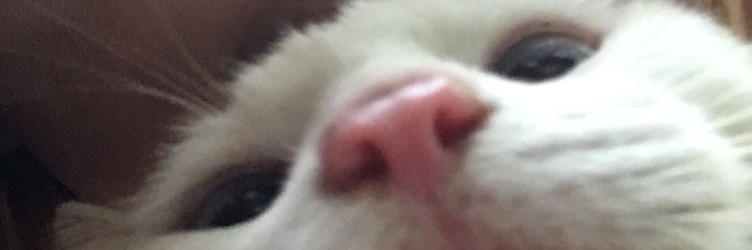 camscastillo_'s profile banner image