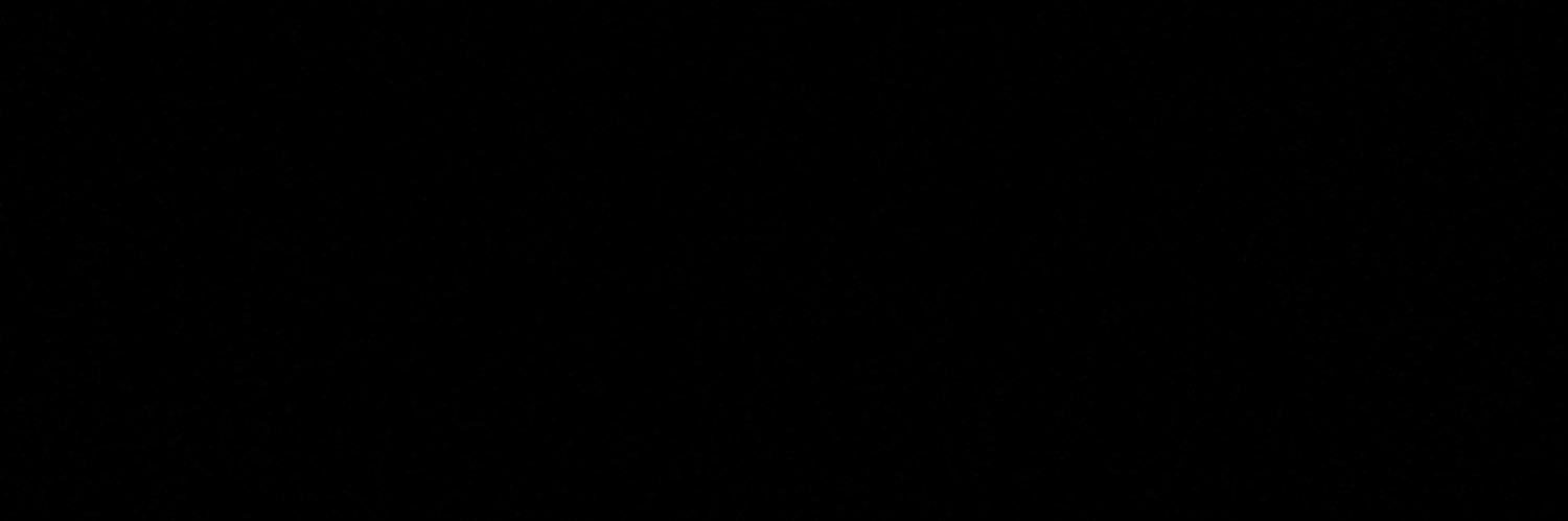 nelsonquinto's profile banner image