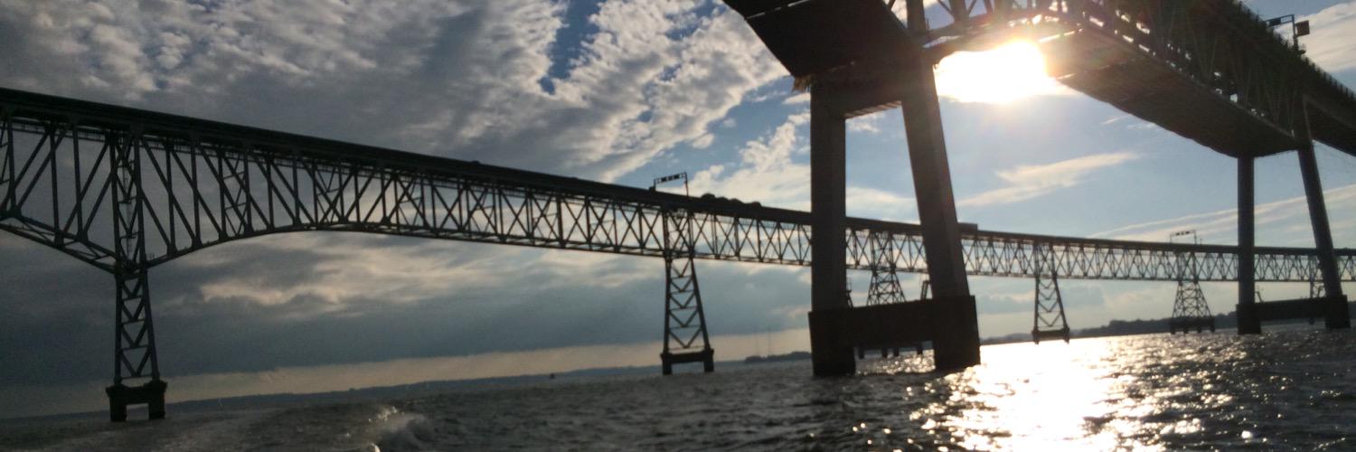 Elaine Beeman banner