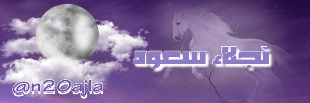 n20ajla's profile banner image