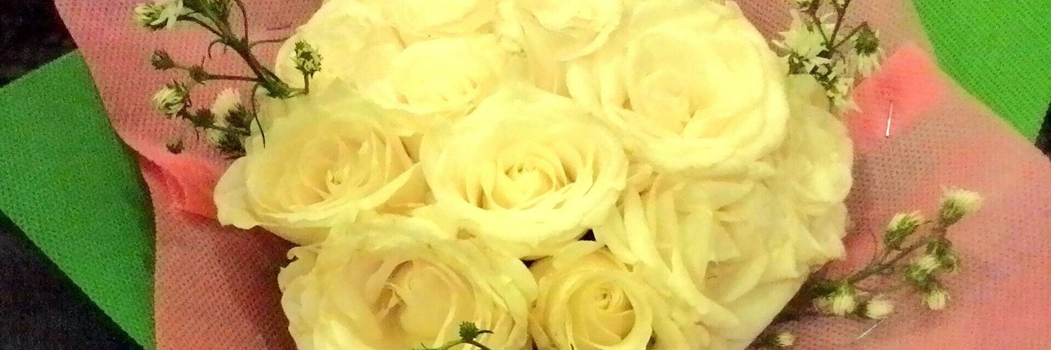 sarasekaaa's profile banner image