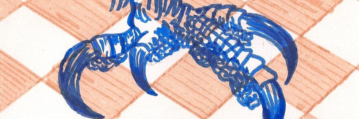 beccaweber's profile banner image