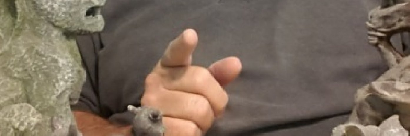MonteRAnderson's profile banner image