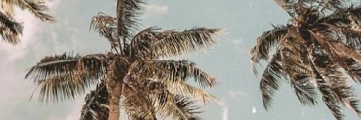 Kalahya03's profile banner image