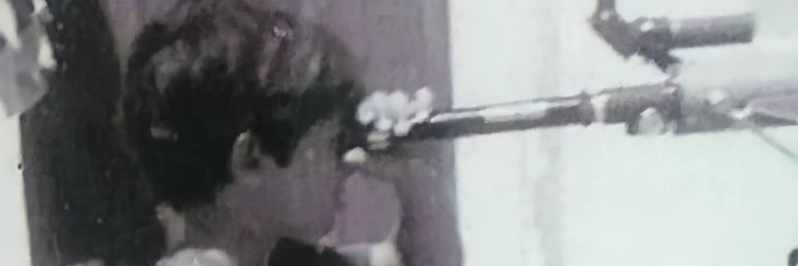 LVPCarrasco's profile banner image