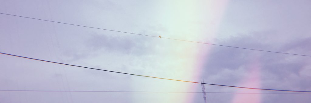 nfffntwd's profile banner image