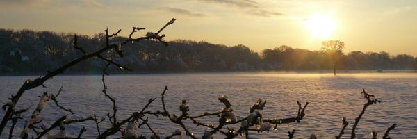 LBimo1 Profile Banner