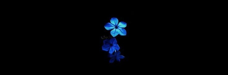 h_pbhatt's profile banner image