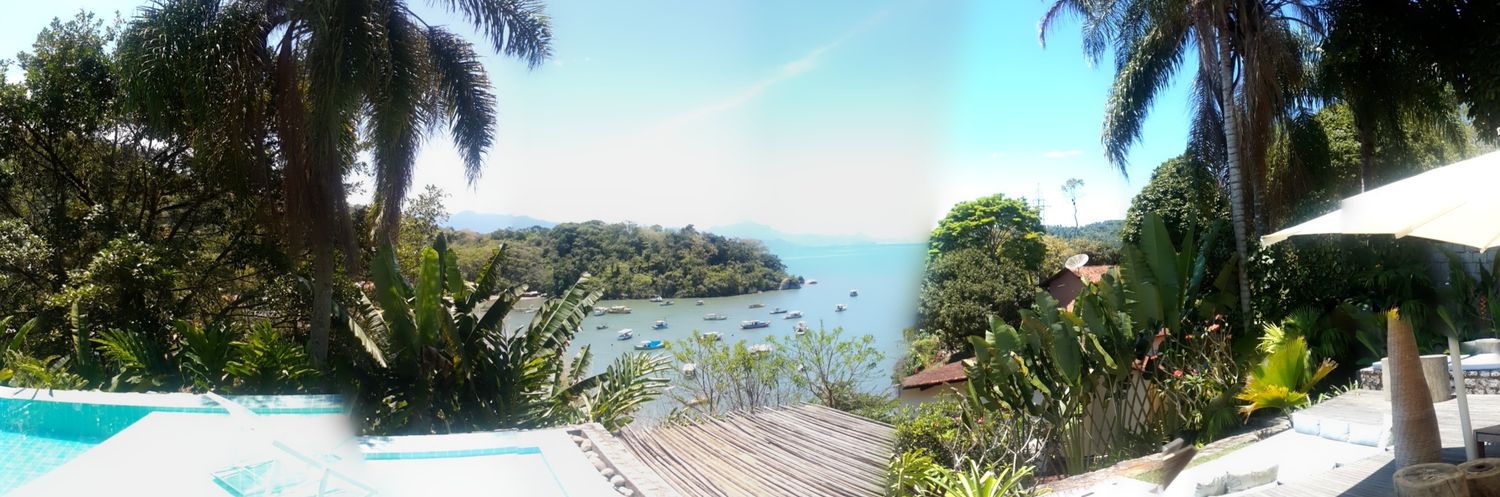alex 🌴 banner