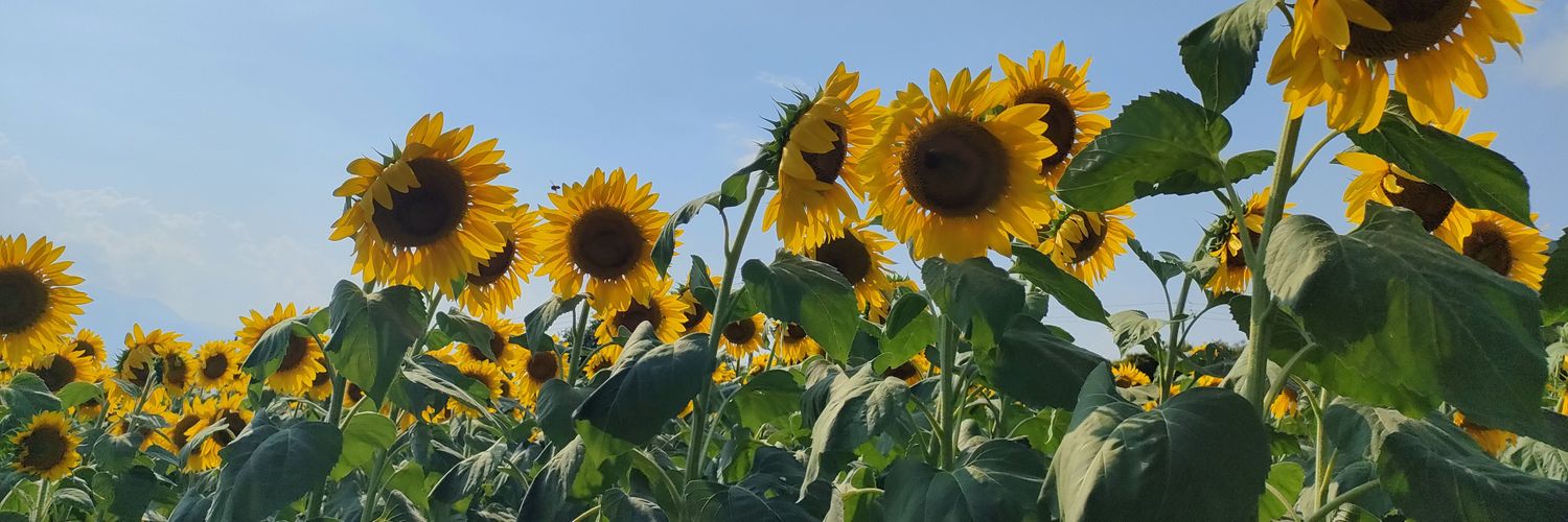 arokfmkn's profile banner image
