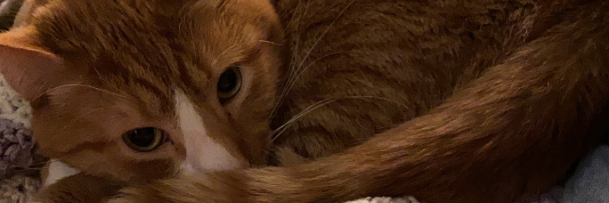 megadancer11's profile banner image