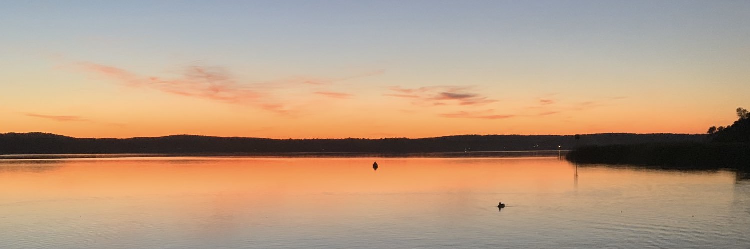 InesjeTweets's profile banner image
