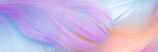Nurlaela201's profile banner image