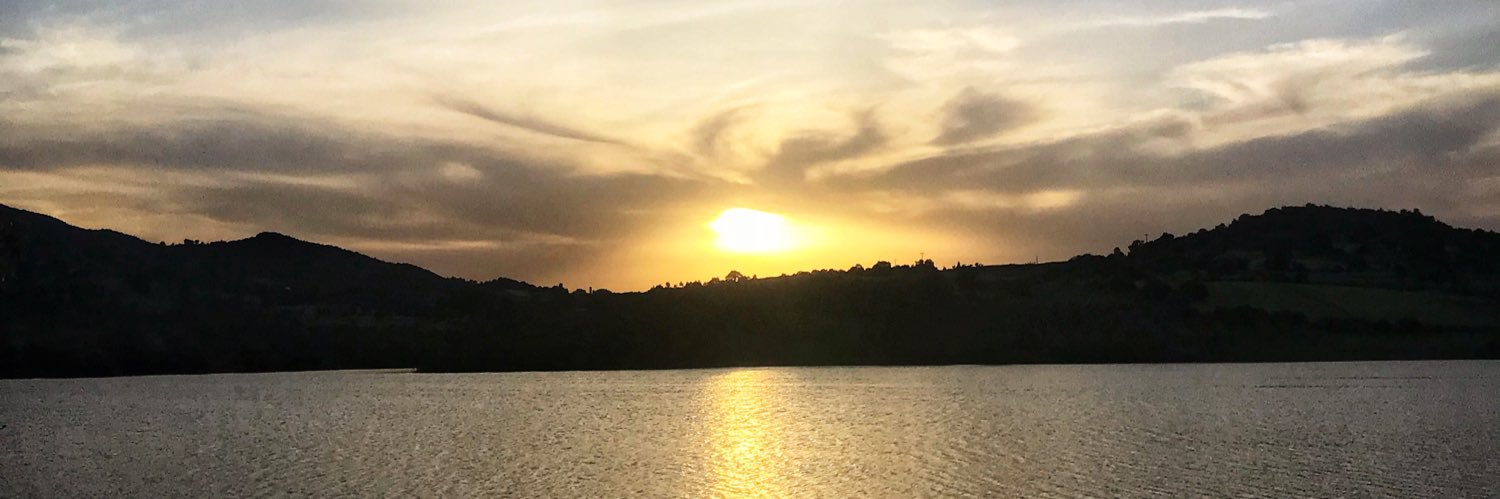 mhr17_17's profile banner image