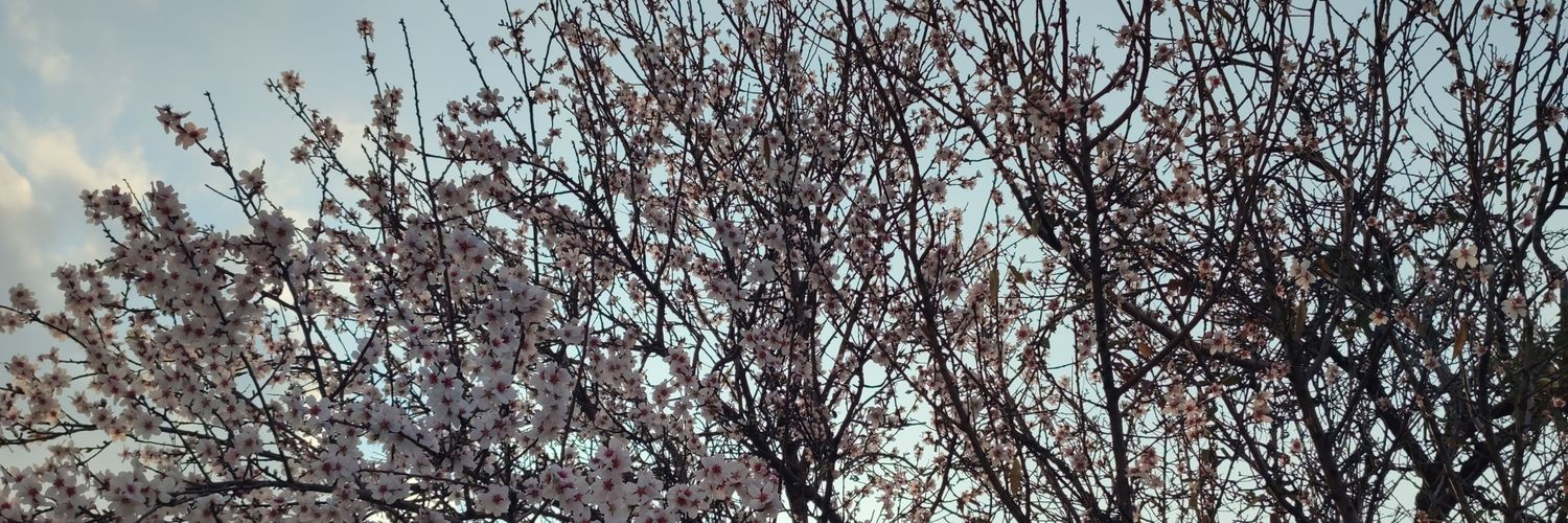 tarcinetto7's profile banner image