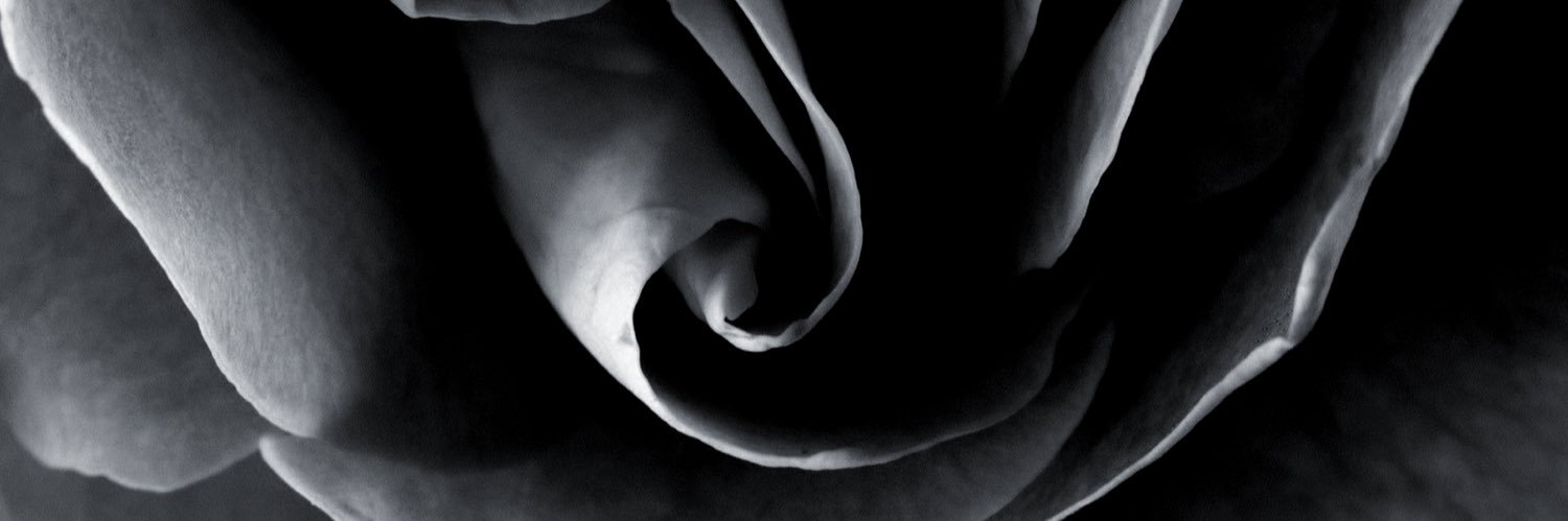 VictoriaS201's profile banner image