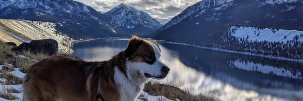 theandy Profile Banner