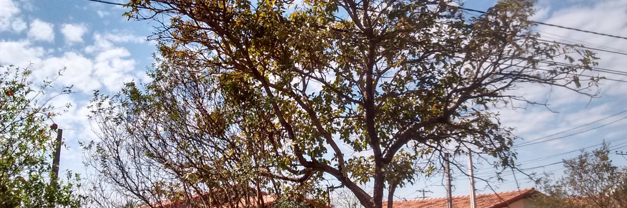 CarlosAgostinho's profile banner image