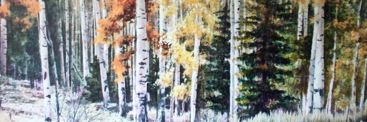 TruNorthernPine's profile banner image