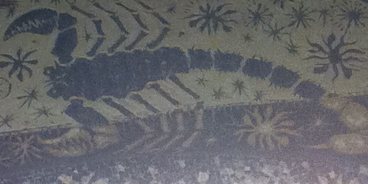 APizzati's profile banner image